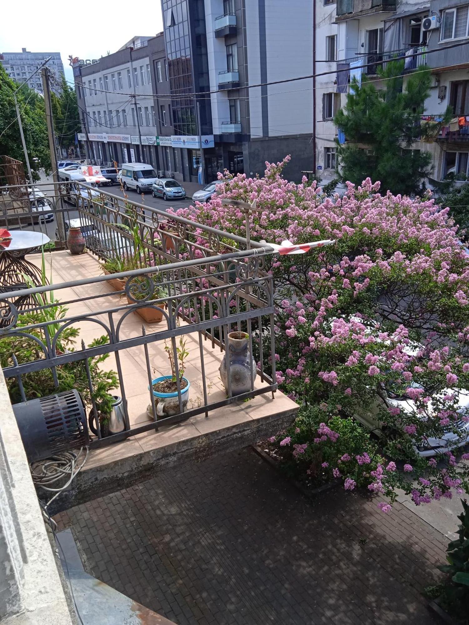 Apartment Maisi Μπατούμι Εξωτερικό φωτογραφία